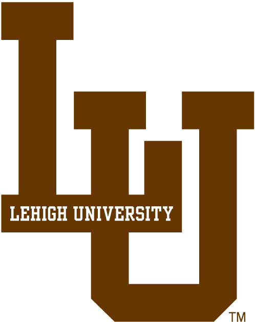Lehigh Mountain Hawks 0-Pres Alternate Logo DIY iron on transfer (heat transfer)